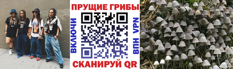 закладки  Богородск  нарко площадка как зайти  Псилоцибиновые грибы мухоморы 