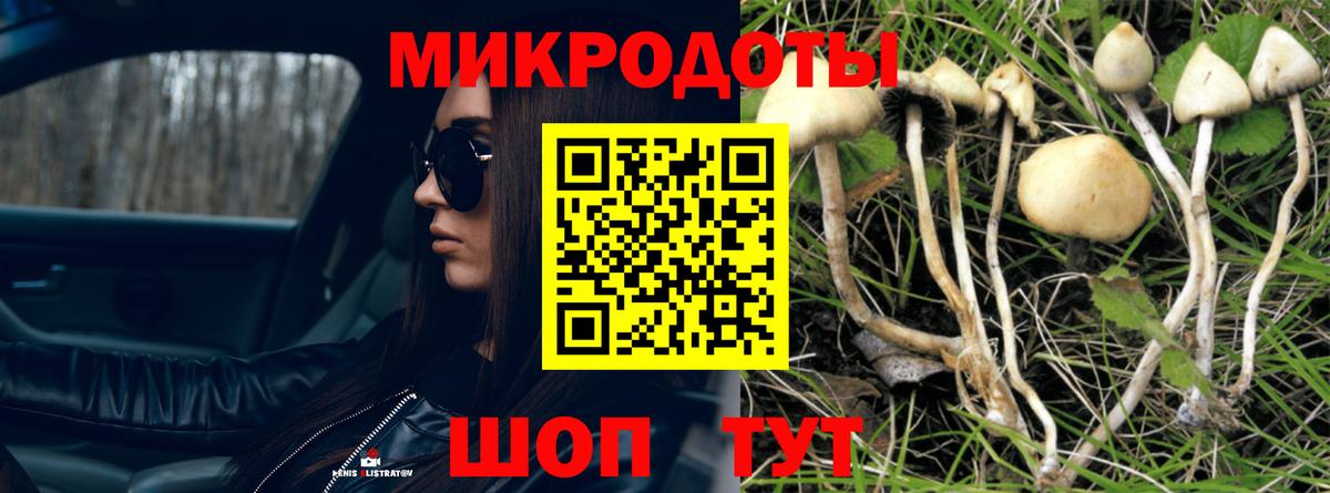 что такое   Псилоцибиновые грибы MAGIC MUSHROOMS  Вход с VPN  Богородск 