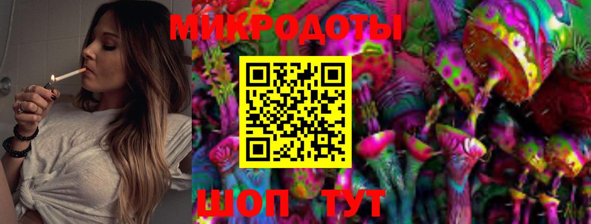 Псилоцибиновые грибы Psilocybine cubensis Богородск